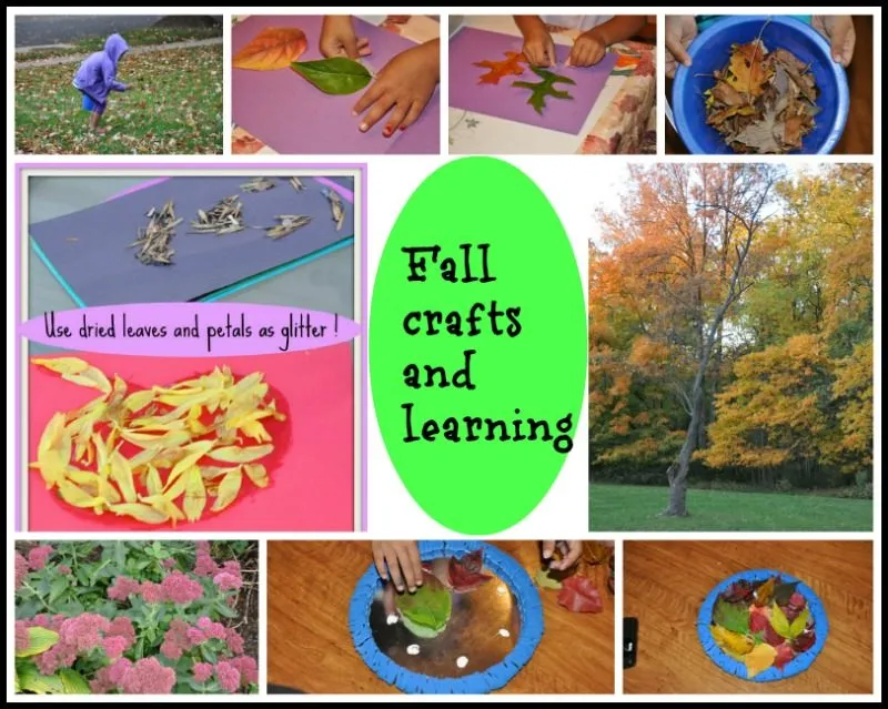 Leaf Book & Fall Table Decoration
