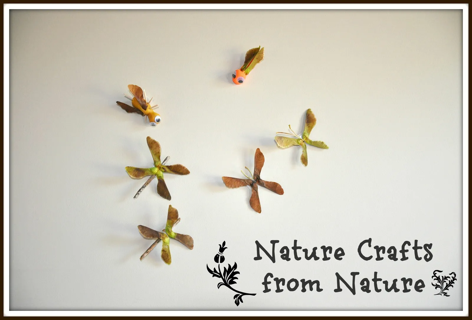 Propeller Seed Bugs