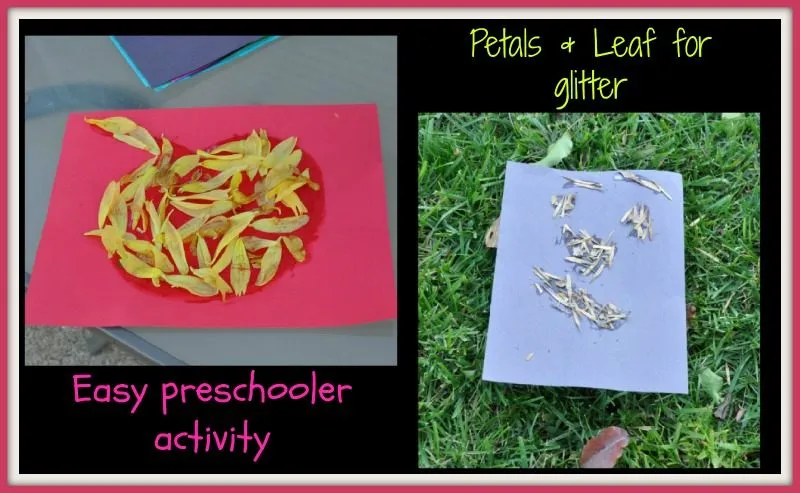 Leaves and Petals as Glitter