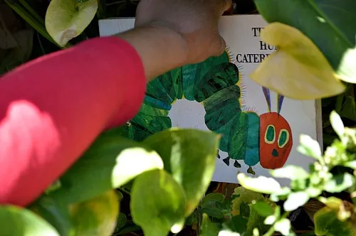 caterpillar book hunt
