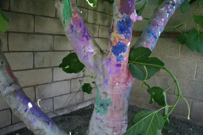 Outdoor Activities For Kids - Paint a Tree