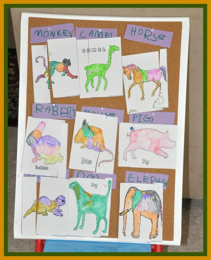 Who Lost His Tail? Animal Tail Matching Game