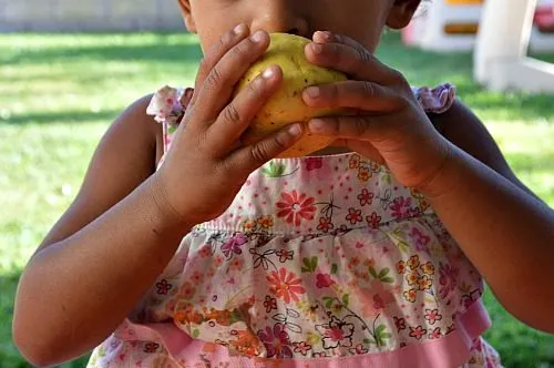 smell the playdough