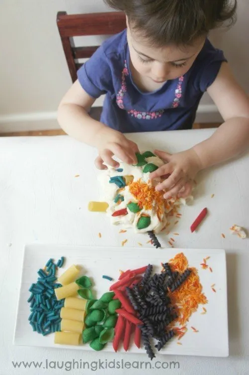 SONY DSC