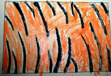 Observing Patterns in the Wild