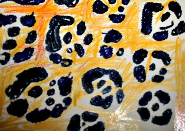 Observing Patterns in the Wild