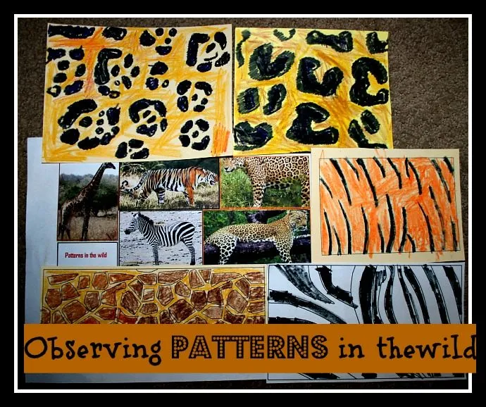 Observing Patterns in the Wild