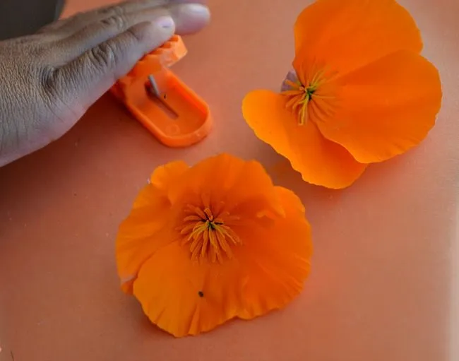 sticking orange in scavenger hunts for kids