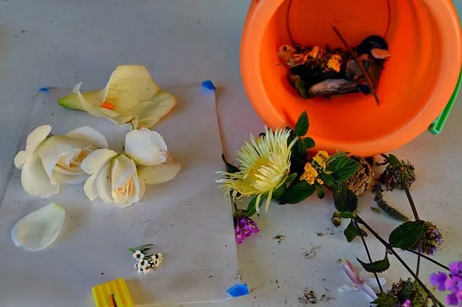 backyard scavenger hunts