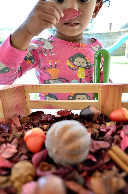 exploring the sensory bin