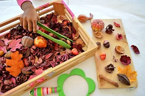 fall sensory bin with nature block