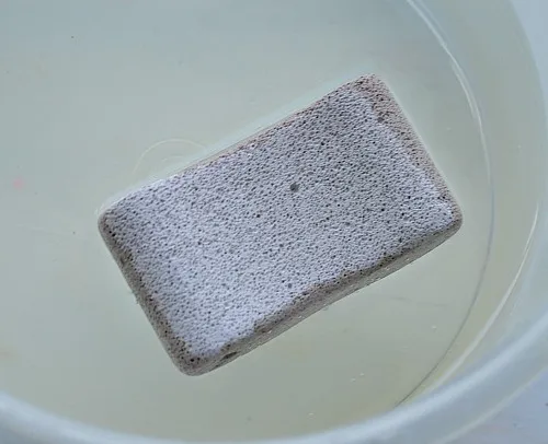Science for kids