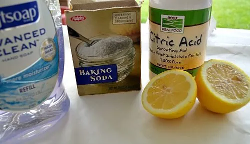 materials needed for the experiment