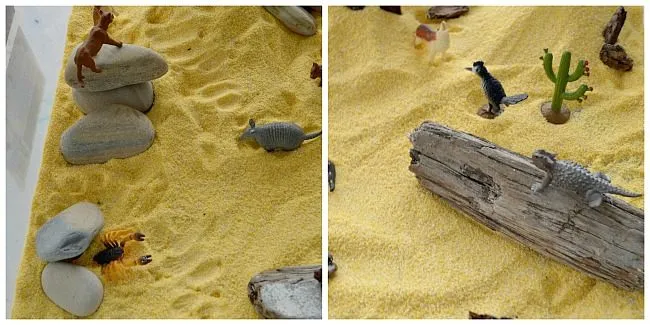 small world play idea desert