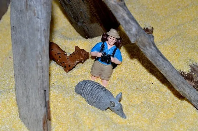 explorer in a small world