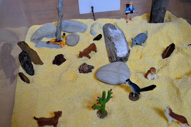 sensory activities with corn meal