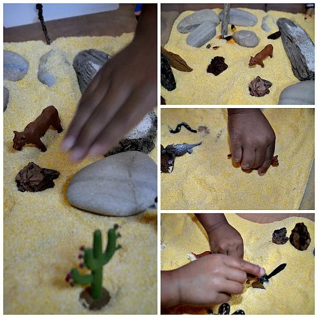 play with cornmeal
