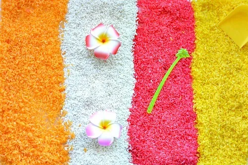 tropical fruits play rice