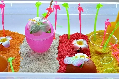 sensory rice with fruit rice