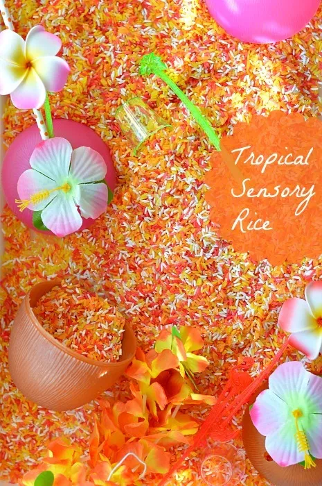 Tropical Fruits Sensory Rice Recipe Blog Me Mom