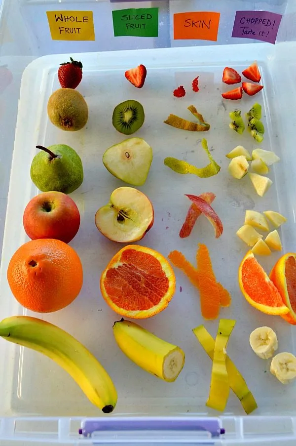 fruits sensory