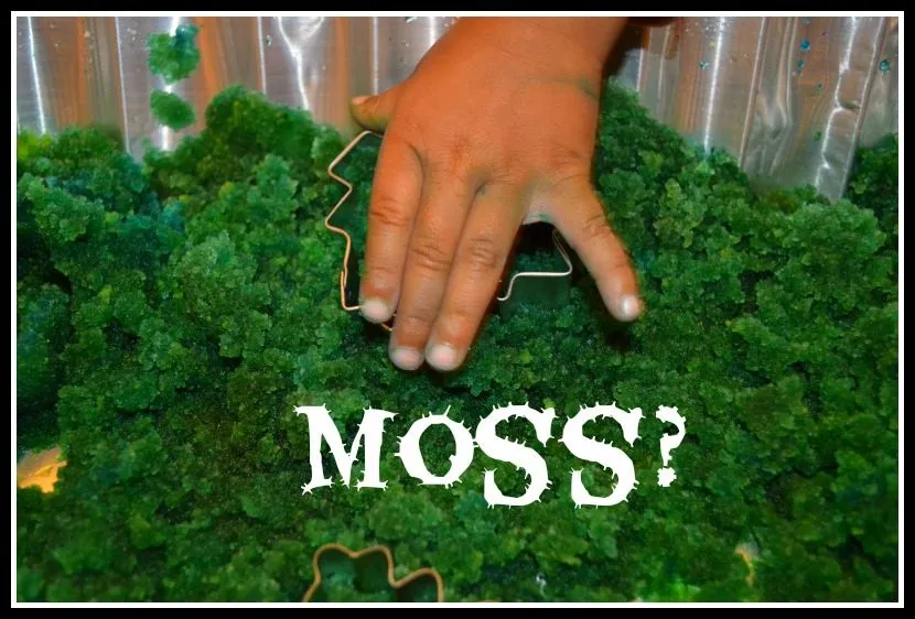 sensory play idea
