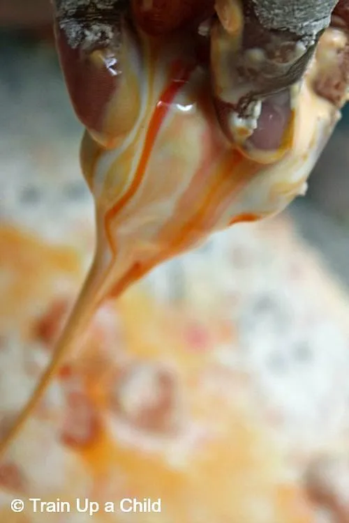 sensory activities with pumpkin oobleck