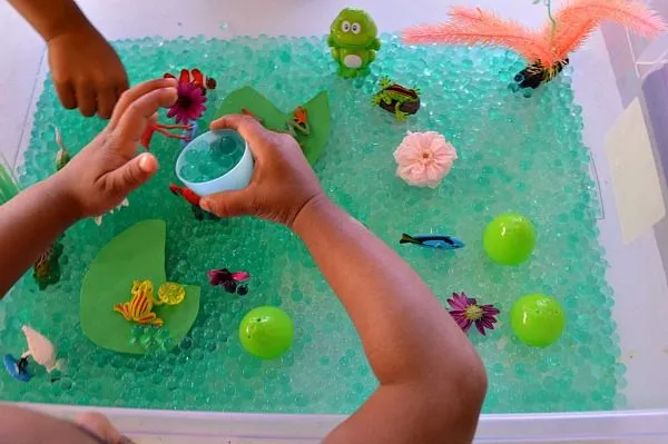 pond life sensory play
