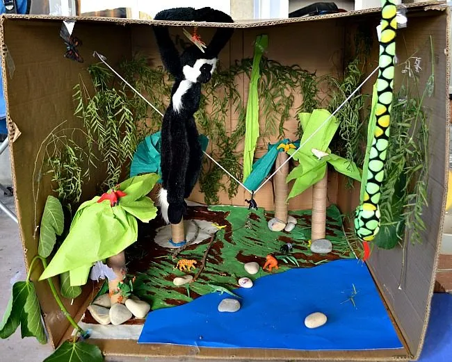 rainforest diorama
