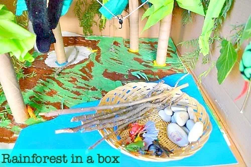 Small World Play: Rainforest in a box