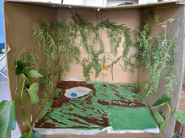 pretend play rainforest
