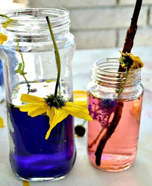 flower potions in bottles