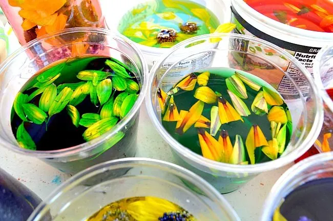 flower potions labs