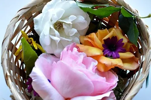 flowers spring activity