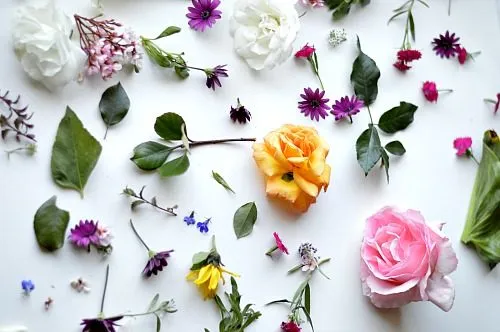 lots of flowers for spring