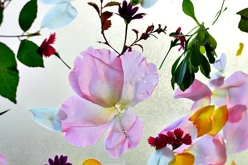 sticky garden for kids