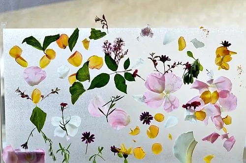 sticky garden spring craft for kids