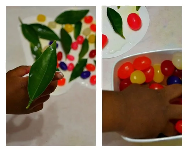 MY GARDEN BOOK INSPIRED ACTIVITY