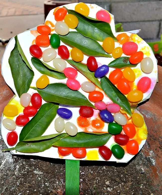 jellybean bush my garden craft