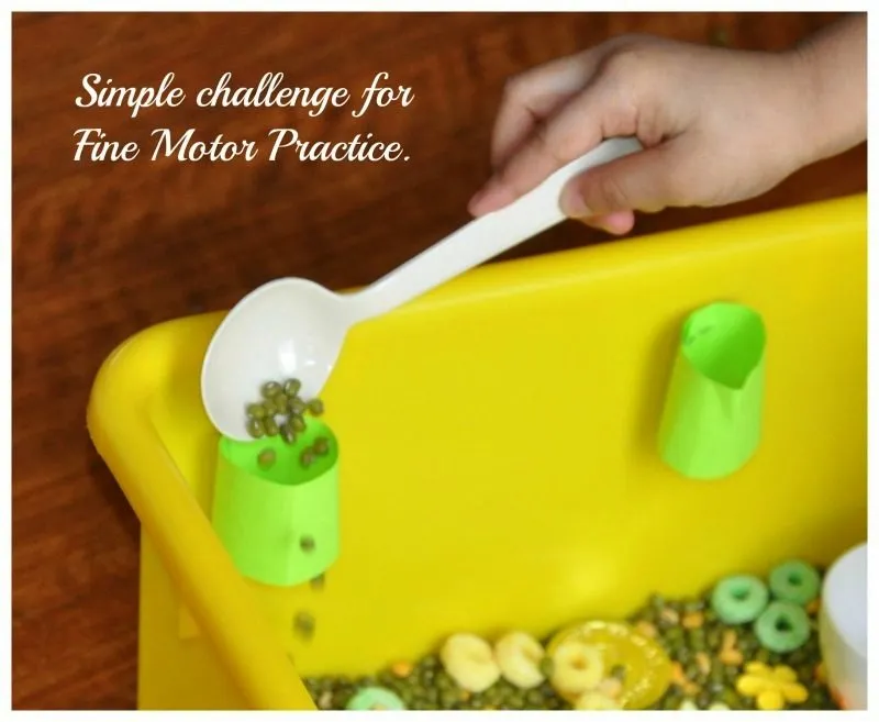 sensory bin fine motor practice