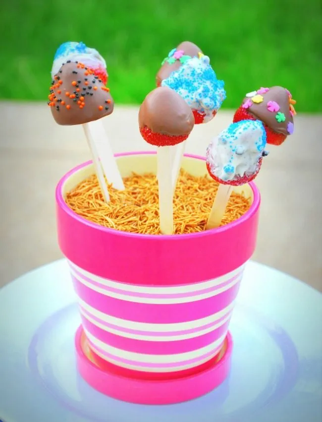 berry pops