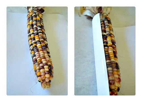 roll tape corn art