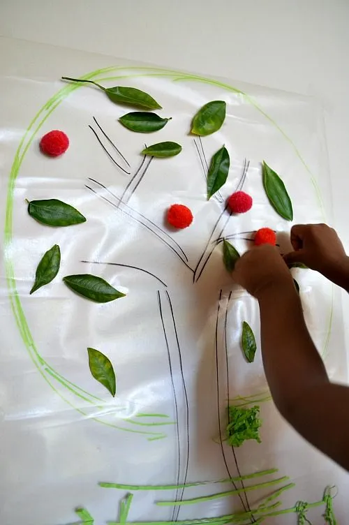 adhering leaves on sticky apple tree