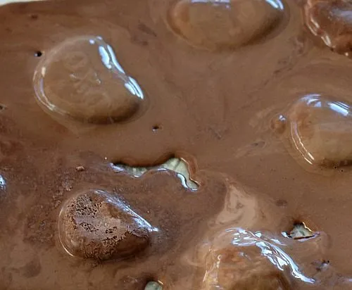 choc sensory