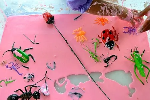 bugs in rose goop much
